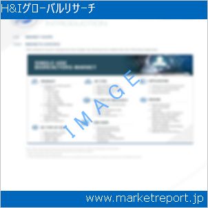 市場と産業調査レポートのイメージ
